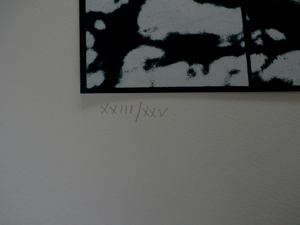 Harm Botman - grafiek: Gomme BichromatÃ©e - 1983 + Harry Mulisch gedicht (gesign) kopen? Bied vanaf 50!