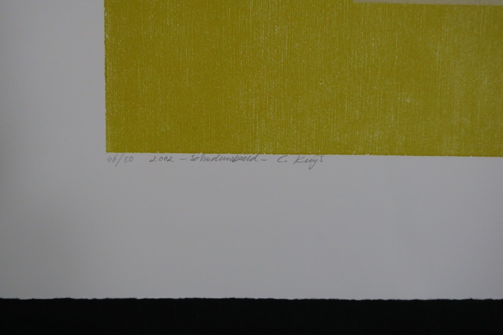 Lot met 5 linosnedes van Corrie Kuijs: Lichtbeeld en Schaduwbeeld (4 x) kopen? Bied vanaf 1!