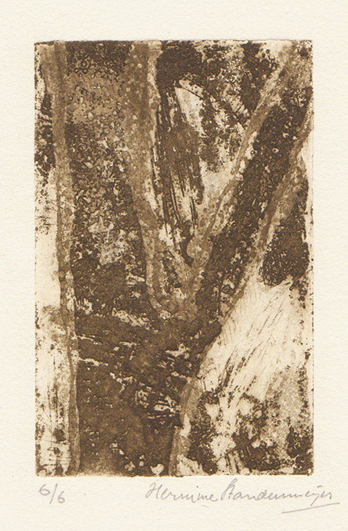 Hermine Standenmeijer - ets-aquatint kopen? Bied vanaf 20!