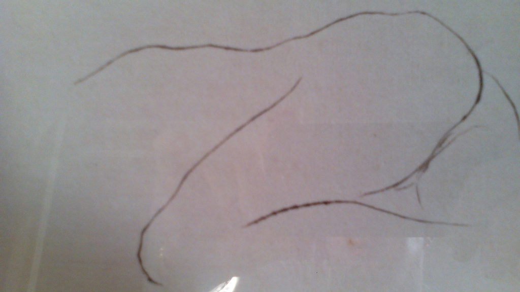 Bert de Keyser, droge naald ets, naakt model, zeer subtiel en elegant. kopen? Bied vanaf 1!