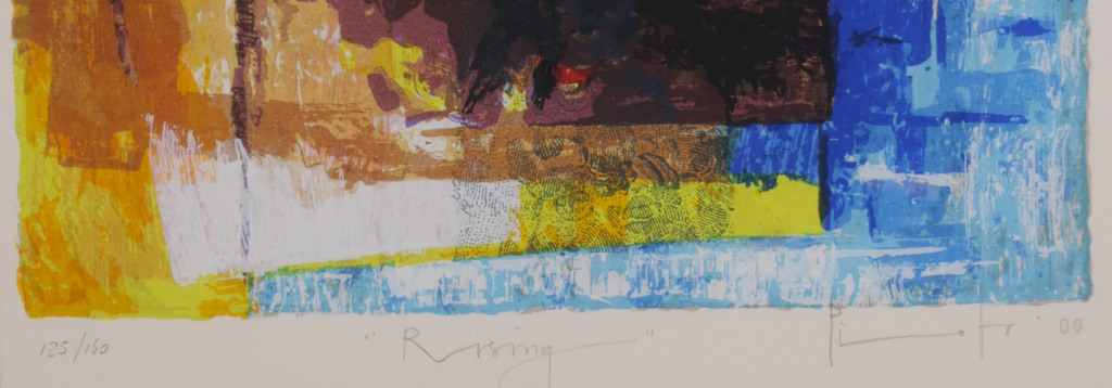 Piotr Konkel: Zeefdruk, Rising - Ingelijst kopen? Bied vanaf 35!