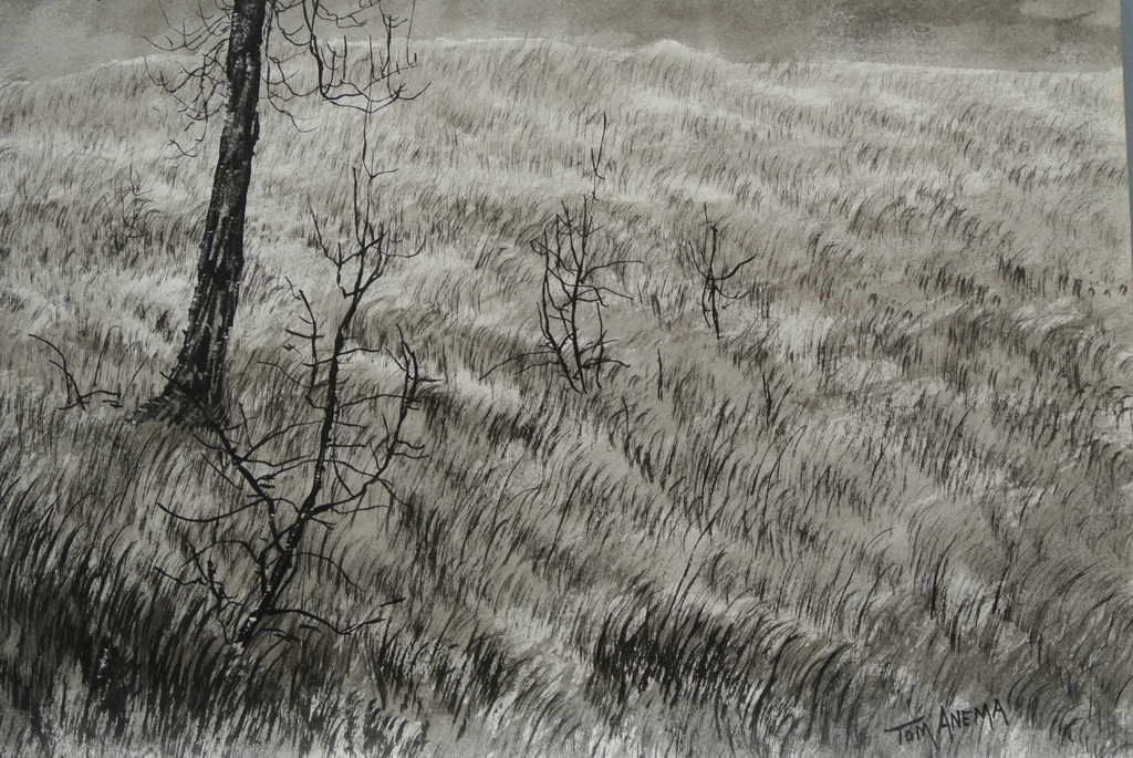 TOM ANEMA. Mooie Aquarel  “Herfst in Nederland VI”  Handgesigneerd kopen? Bied vanaf 9!