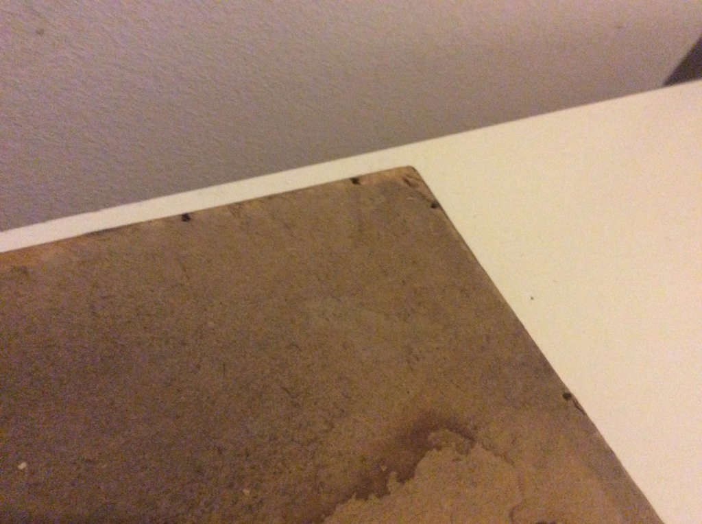 Litho Marie (Mia) Bake (1851-1909) De Natuur kopen? Bied vanaf 1!