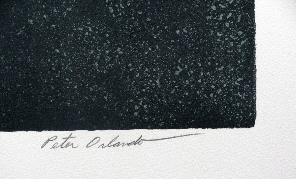 Zonnebloem, lithografie kopen? Bied vanaf 25!