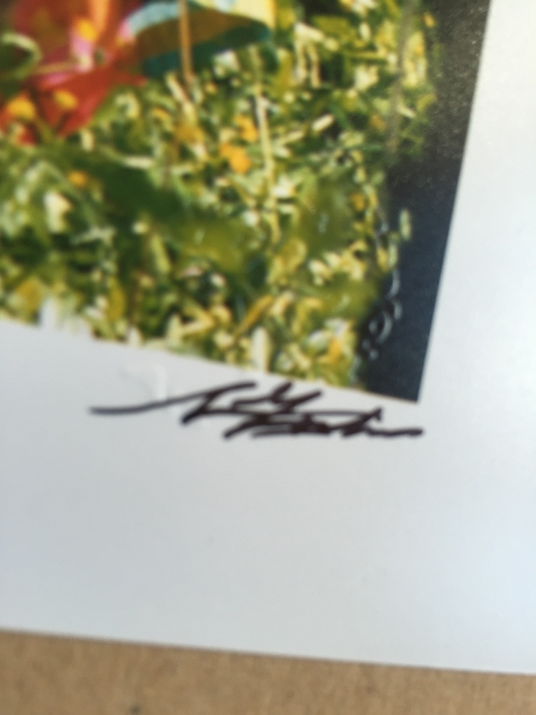 Nico Koster CoBrA kunstenaar Karel Appel met vrouw kopen? Bied vanaf 1!