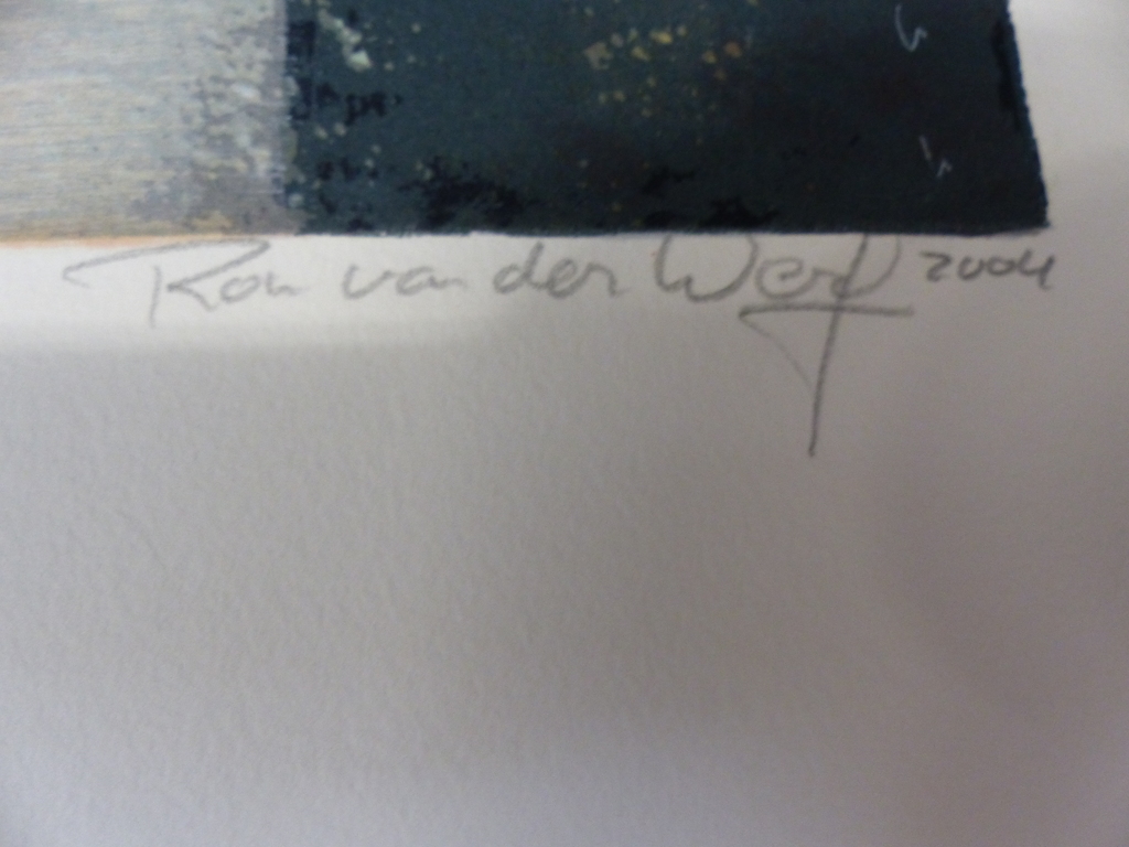 Ron v/d Werf,zeefdruk op papier met zwelinkt, Terra 1,Handgesigneerd kopen? Bied vanaf 50!