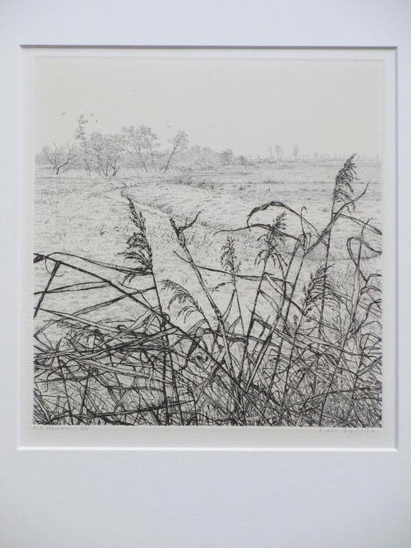 Reinder Homan, Landschap met riet in polder, Ets verkocht voor € 80!