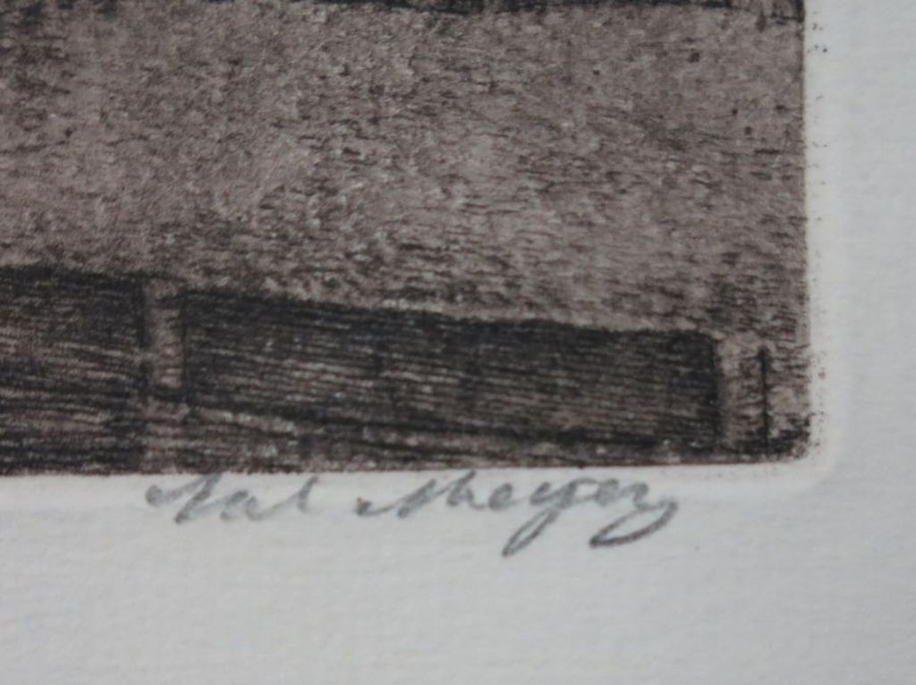 Sal Meijer: Ets, Overhaal bij het Rijksmuseum kopen? Bied vanaf 70!