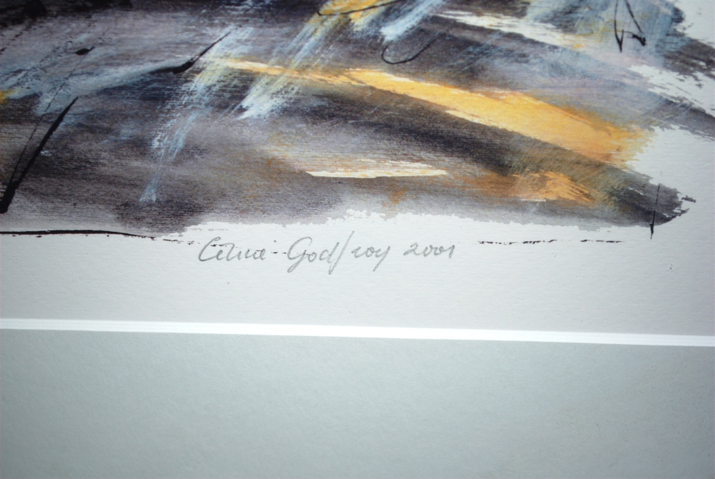 de ZAAIER 2001 - zeefdruk oplage 100 ex. - FRAAI GELIJST kopen? Bied vanaf 30!