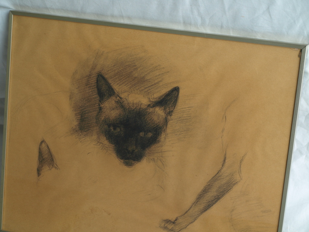 Jan Groenestein : Tekening , KAT – gesigneerd & ingelijst – ca 1960 kopen? Bied vanaf 75!