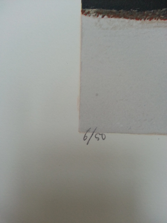 Ron van der Werf, zeefdruk op papier, titel:" Terra II" kopen? Bied vanaf 50!