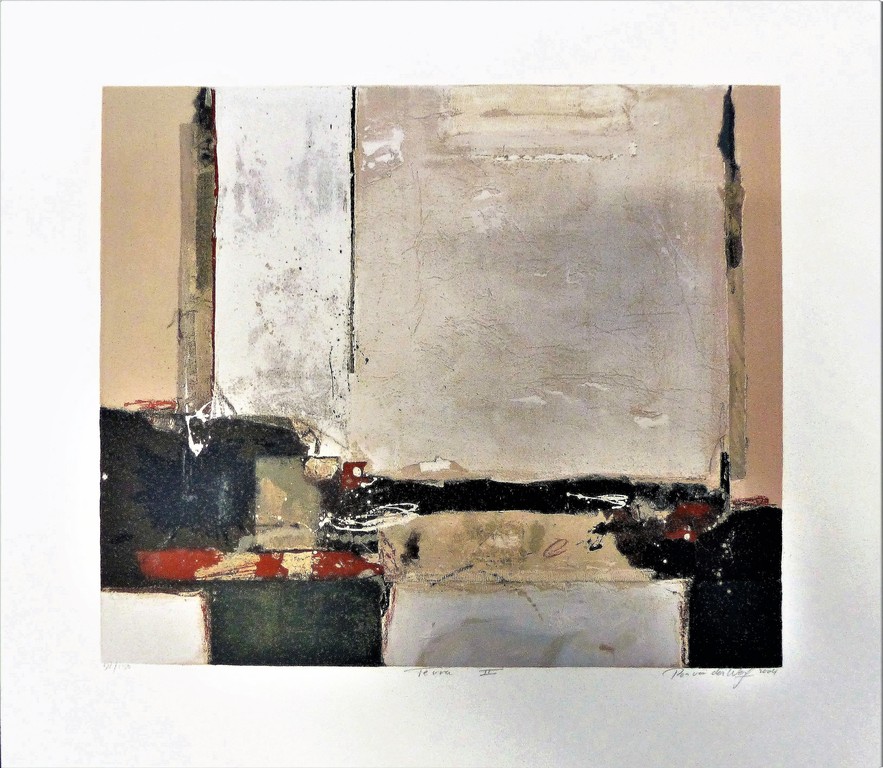 Ron v/d Werf,zeefdruk op papier met zwelinkt, Terra 2,Handgesigneerd verkocht voor € 50!