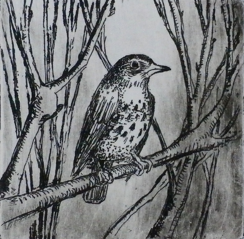 Ab M. - ets op nieuwjaarskaart: Kramsvogel kopen? Bied vanaf 1!