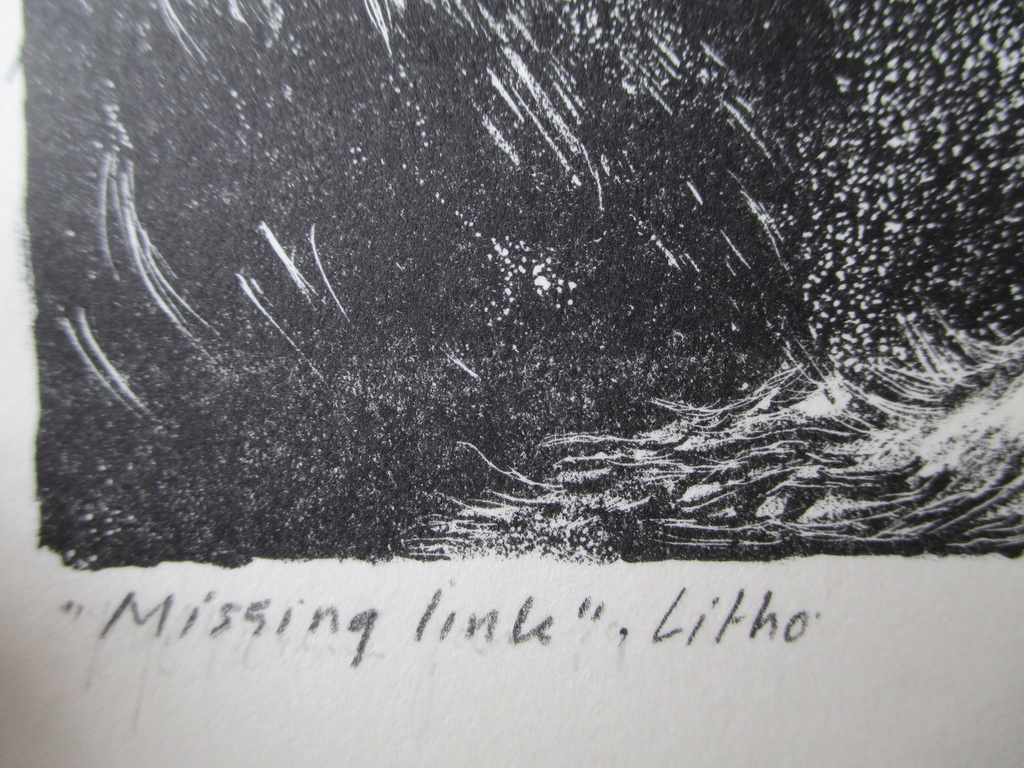 Onbekend, litho "Missing Link" kopen? Bied vanaf 10!