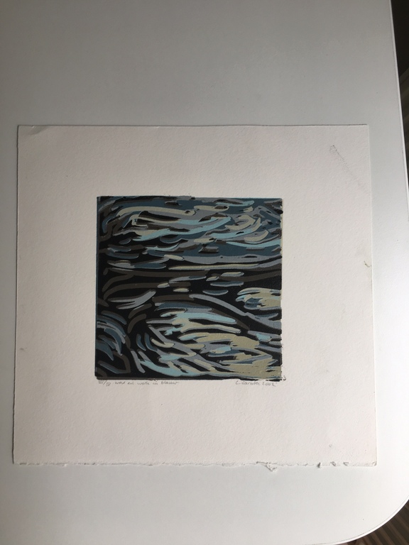 "Wad en wolk in blauw" druk III/IV uit 2002, uit de serie "IJsselmeerstudies" kopen? Bied vanaf 1!