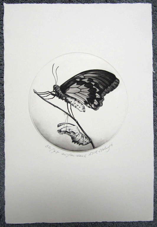 Dick Stolwijk, ets verkocht voor € 90!