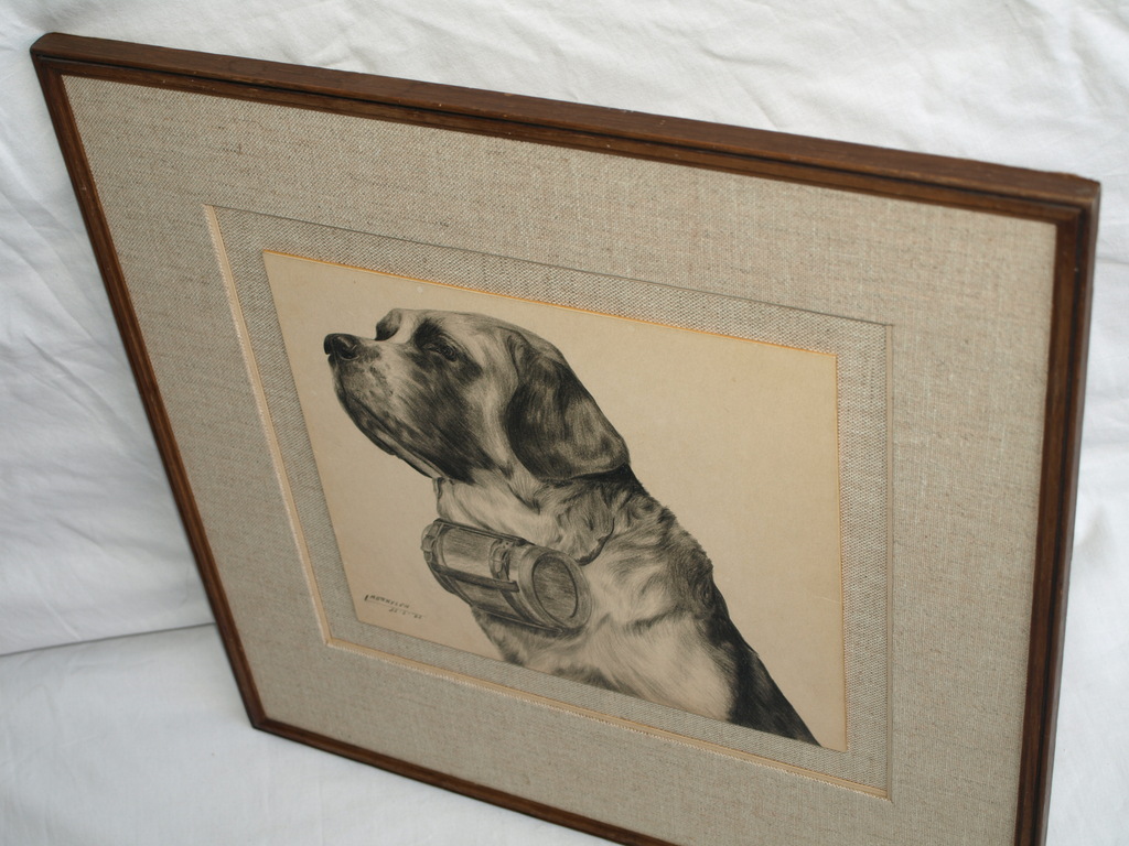 Onduidelijke signatuur : Tekening ,  St Bernardshond – ingelijst - 1962 kopen? Bied vanaf 1!