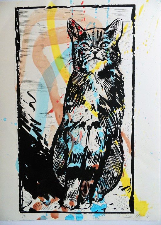 Koningskat Willem Snitker in prijs verlaagd kopen? Bied vanaf 55!