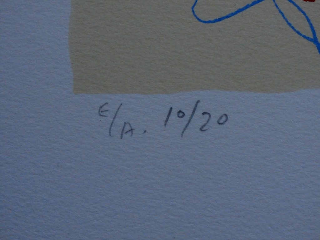 Kees Salentijn - litho - handgesigneerd  kopen? Bied vanaf 50!