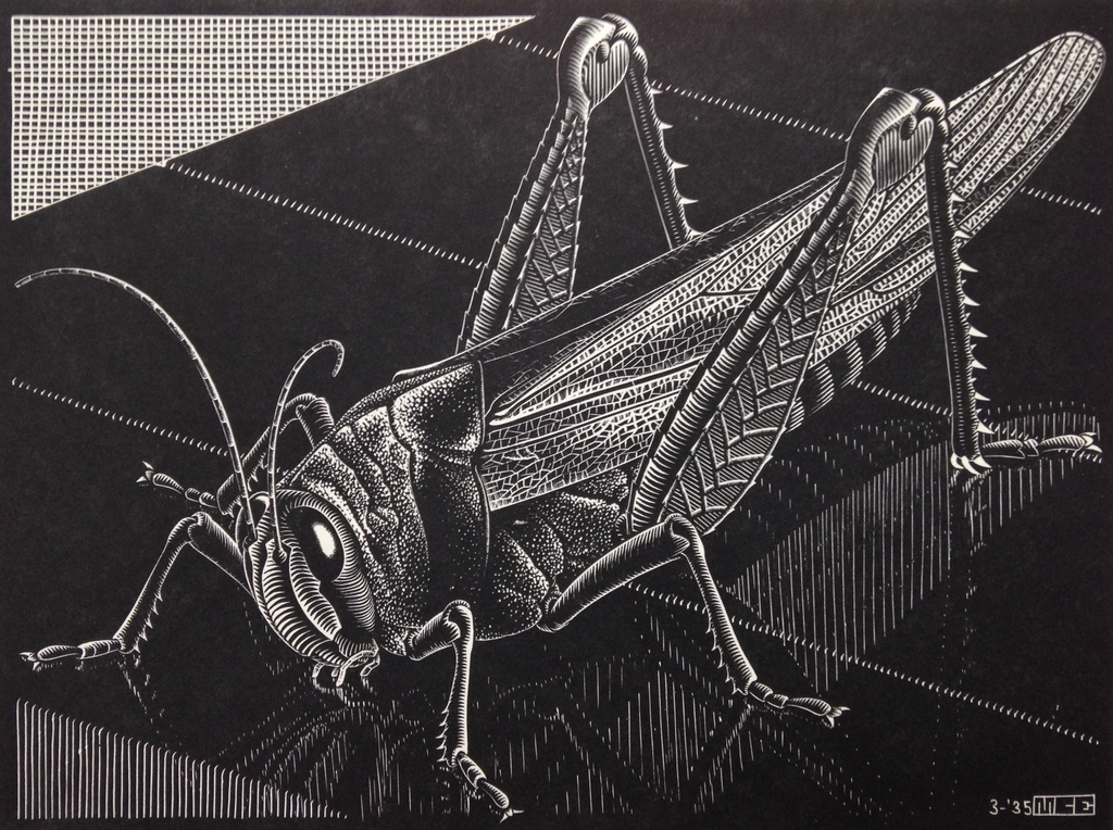 MC Escher, ORIGINELE houtgravure, 1935. 'Sprinkhaan' kopen? Bied vanaf 990!