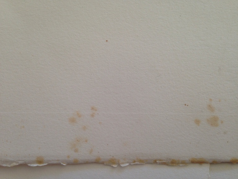 Eduard Flor: grafiek, le printemps 170/190 kopen? Bied vanaf 15!