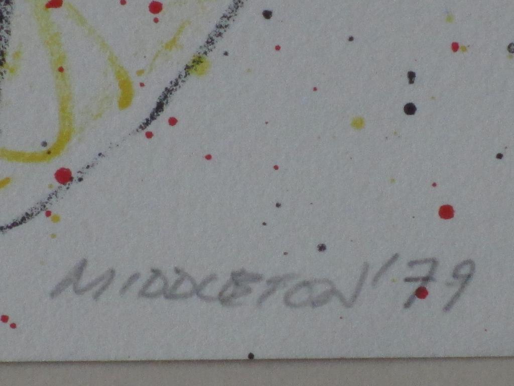Sam Middleton, Muzikale Compositie, Kleurenlitho kopen? Bied vanaf 40!