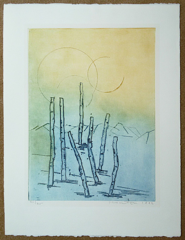 Jan Montyn - Bamboo blue Cambodga, aquatint ets kopen? Bied vanaf 150!