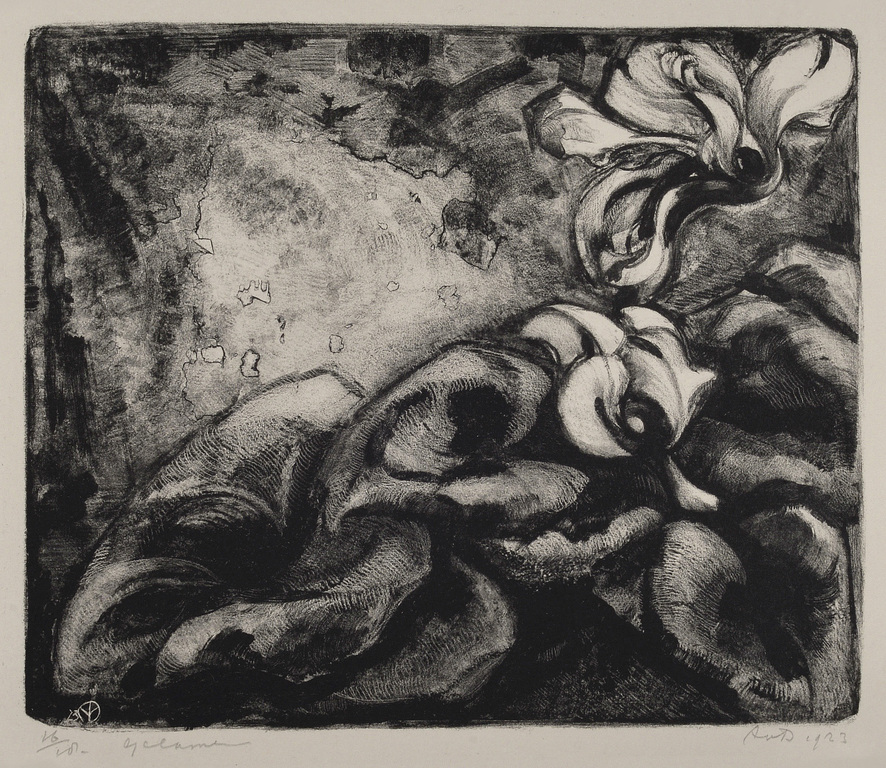 Aart van Dobbenburgh: Litho - Cyclamen - 1923 verkocht voor € 45!