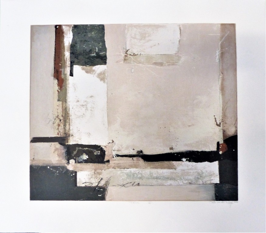 Ron v/d Werf,zeefdruk op papier met zwelinkt, Terra 1,Handgesigneerd verkocht voor € 50!