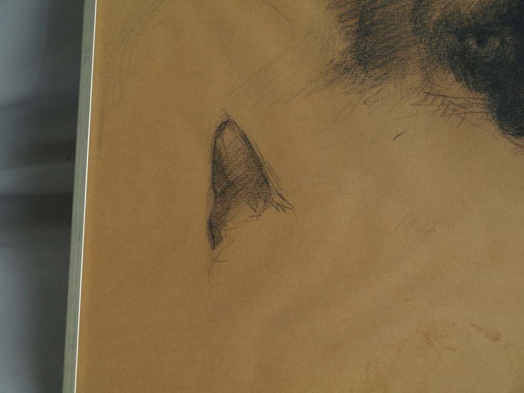 Jan Groenestein : Tekening , KAT – gesigneerd & ingelijst – ca 1960 kopen? Bied vanaf 75!