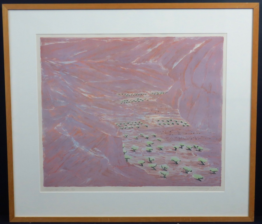 Jan van Rooy: Litho, Campo di Nijar -Ingelijst kopen? Bied vanaf 1!