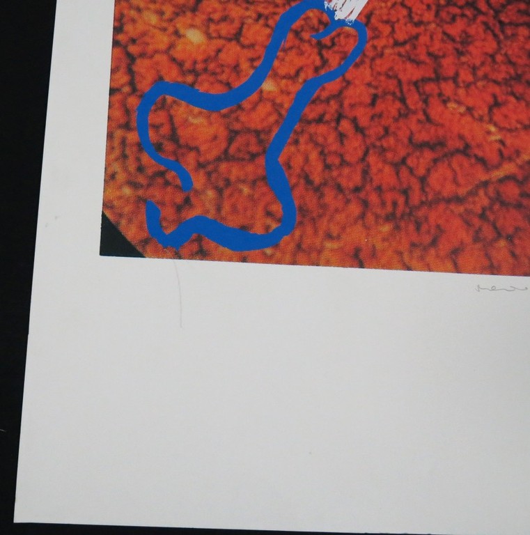 Marina Abramovic: Zeefdruk, zonder titel  kopen? Bied vanaf 35!