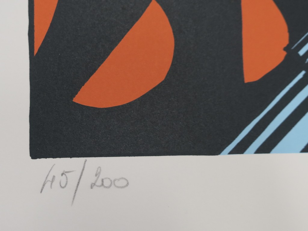 Erro: Zeefdruk, Amazon (groot) kopen? Bied vanaf 120!