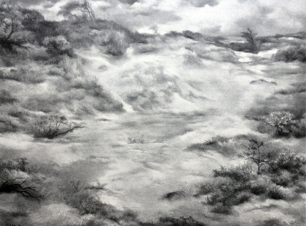Aart van Dobbenburgh - duinlandschap - lithografie, 1956 kopen? Bied vanaf 95!