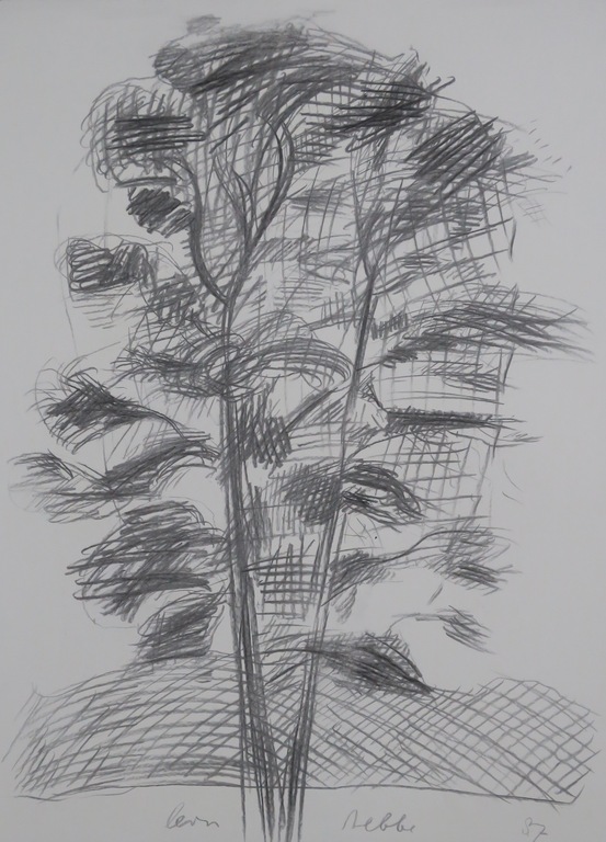 Leon Tebbe: Potloodtekening, Boom kopen? Bied vanaf 1!