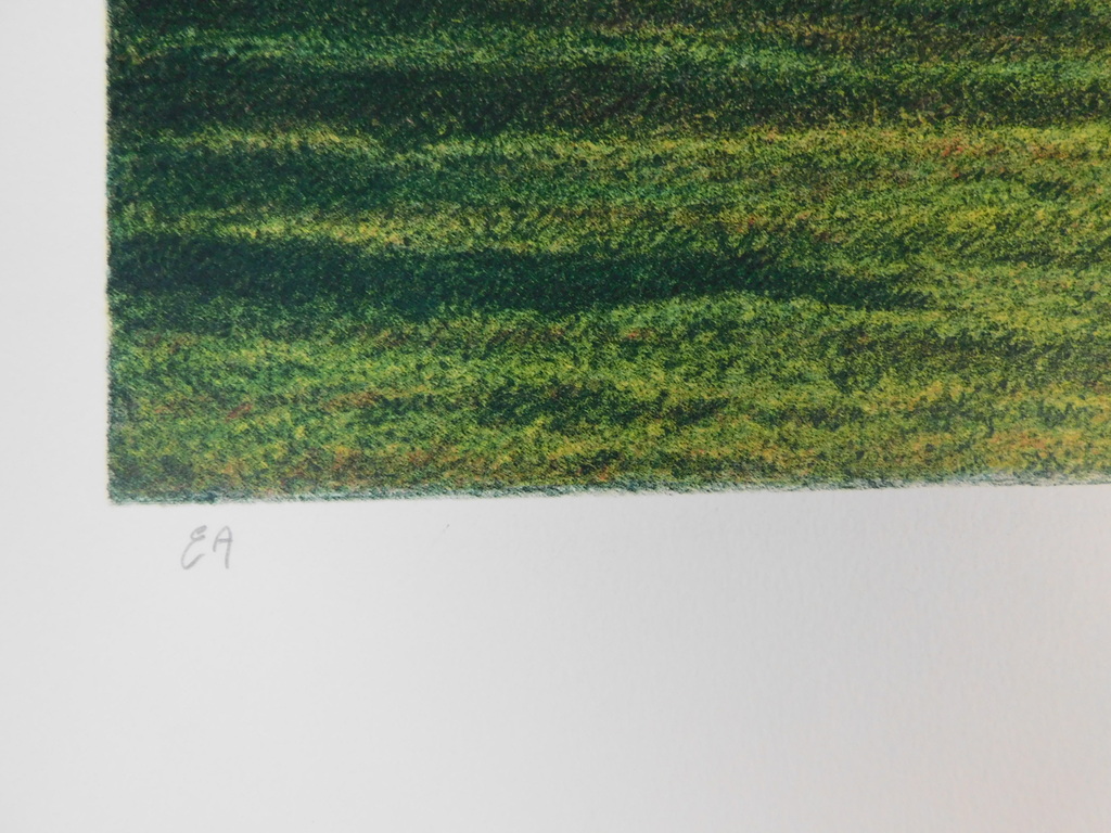 Harold Altman - Kleurenlitho - Paarden in de wei kopen? Bied vanaf 35!