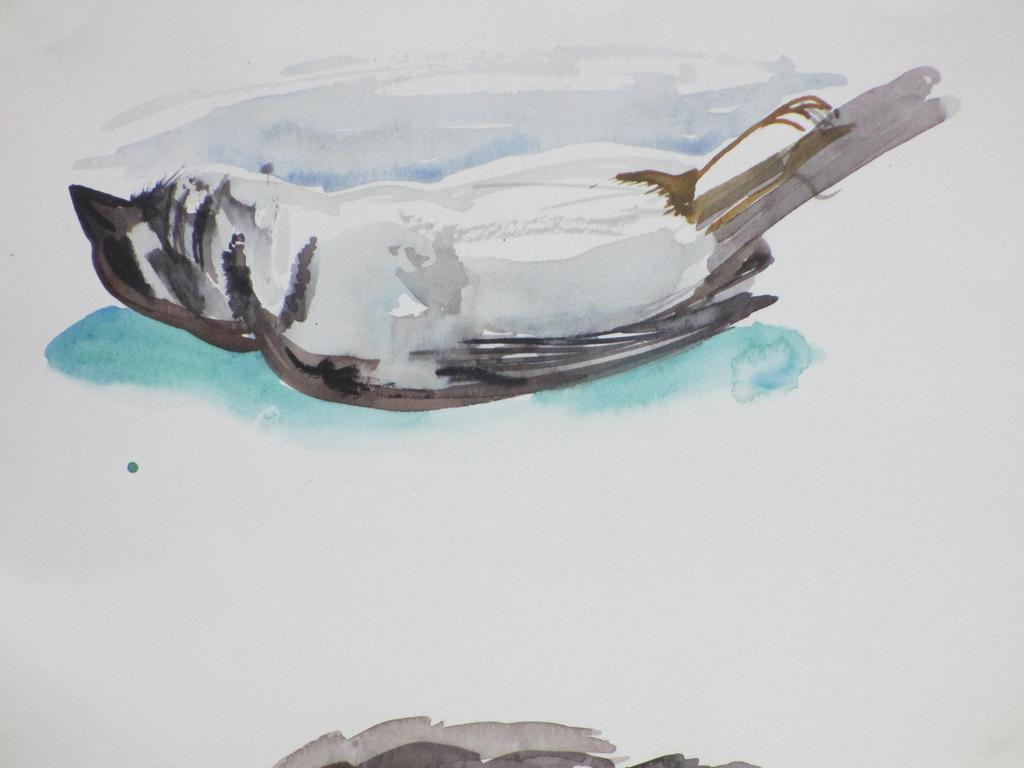 Hannie Bouman, Dode mus, Aquarel kopen? Bied vanaf 1!
