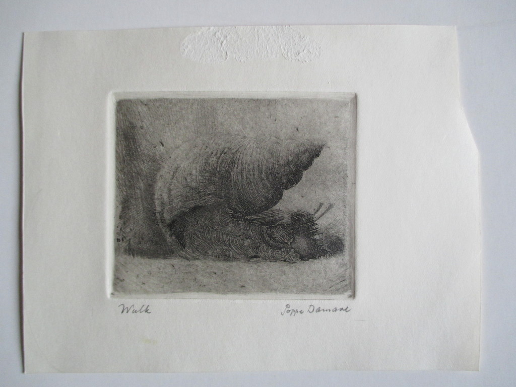 Poppe Damave, ets "Wulk" kopen? Bied vanaf 20!