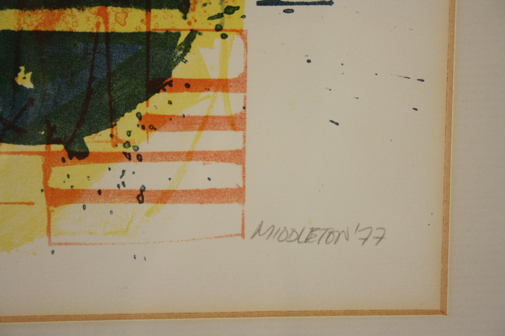Sam Middleton, grafiek-handgesigneerd kopen? Bied vanaf 35!