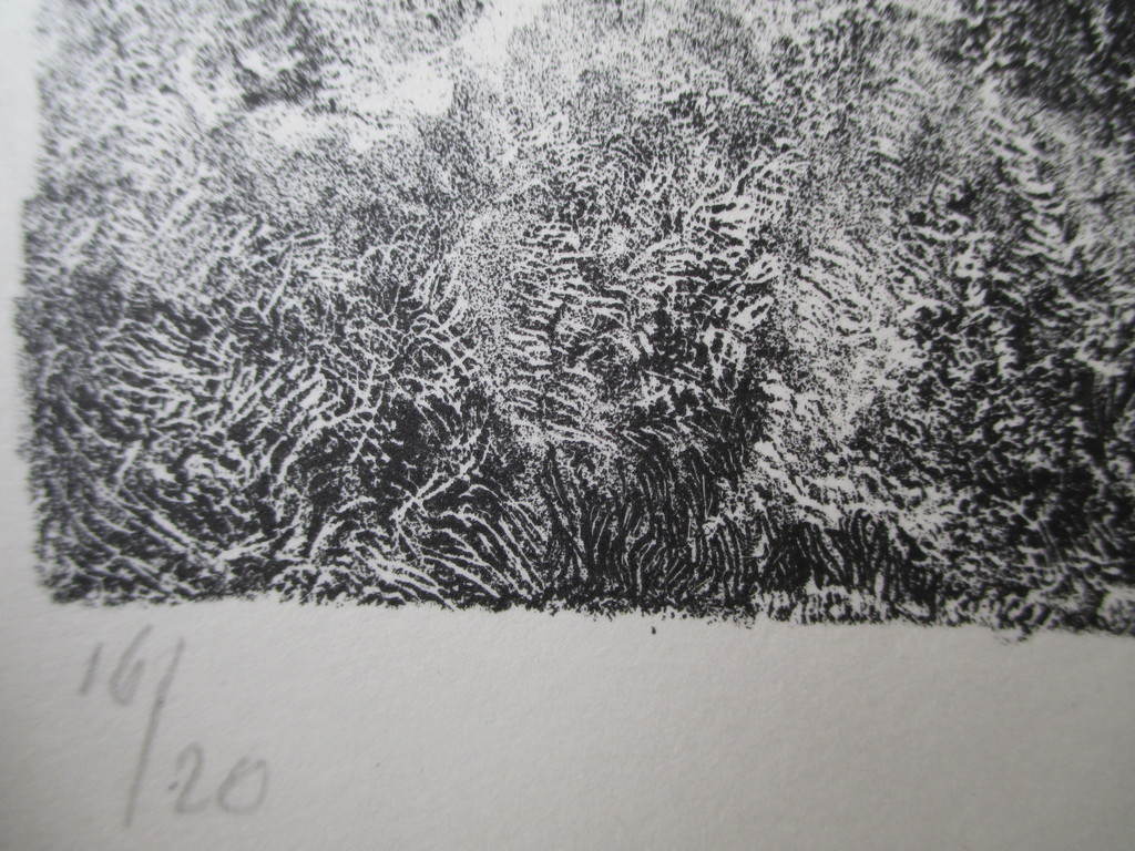 Onbekend, litho Kasteel Mögellander Jutland kopen? Bied vanaf 10!