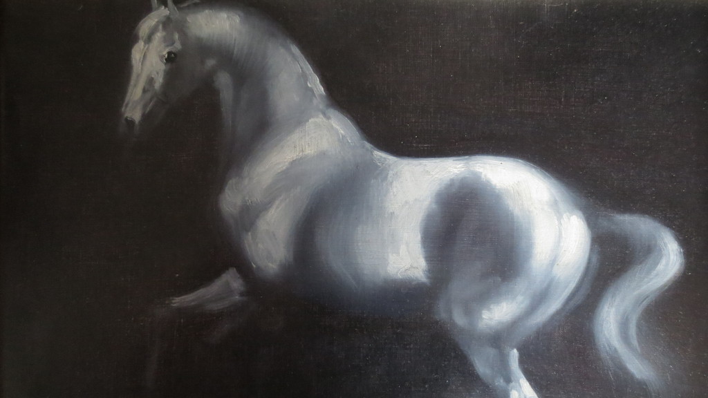 SCHILDERIJ OP DOEK    kopen? Bied vanaf 40!