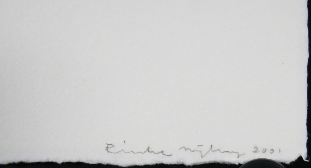 Rinke Nijburg: Ets, The Dawn kopen? Bied vanaf 30!