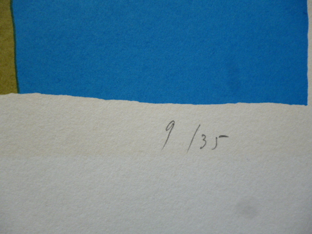 Harrie Gerritz - kleurenlitho - Hek met bloemen kopen? Bied vanaf 50!