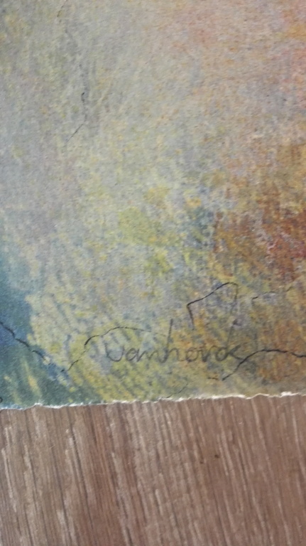 Hans Vanhorck, zeefdruk op papier kopen? Bied vanaf 30!