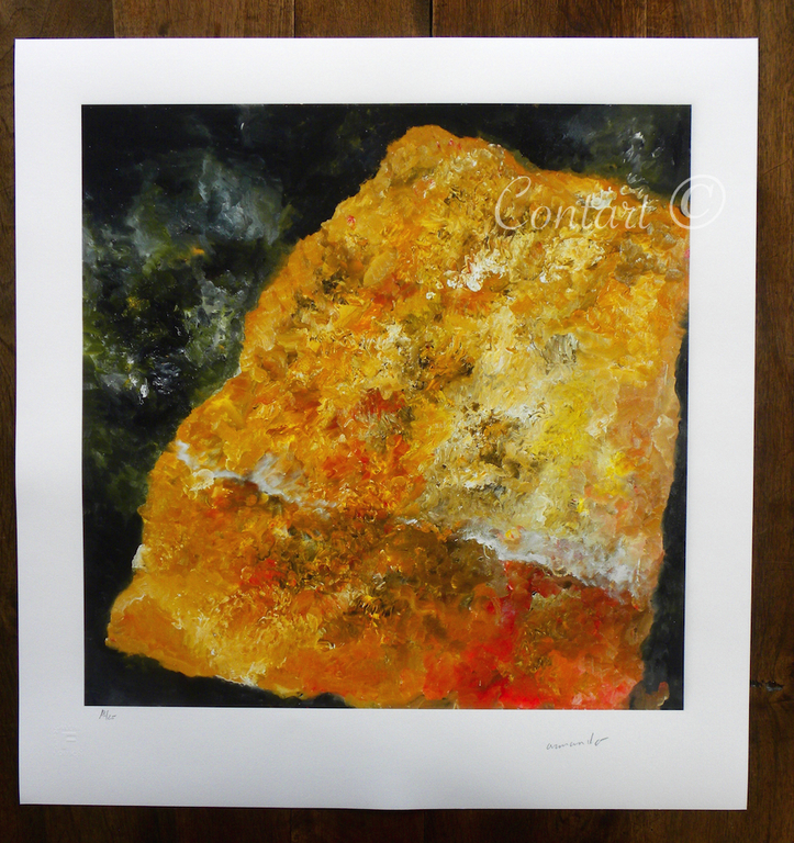 'Fundstück' - Giclee - Gesigneerd en Genummerd met de hand - 2015  kopen? Bied vanaf 175!