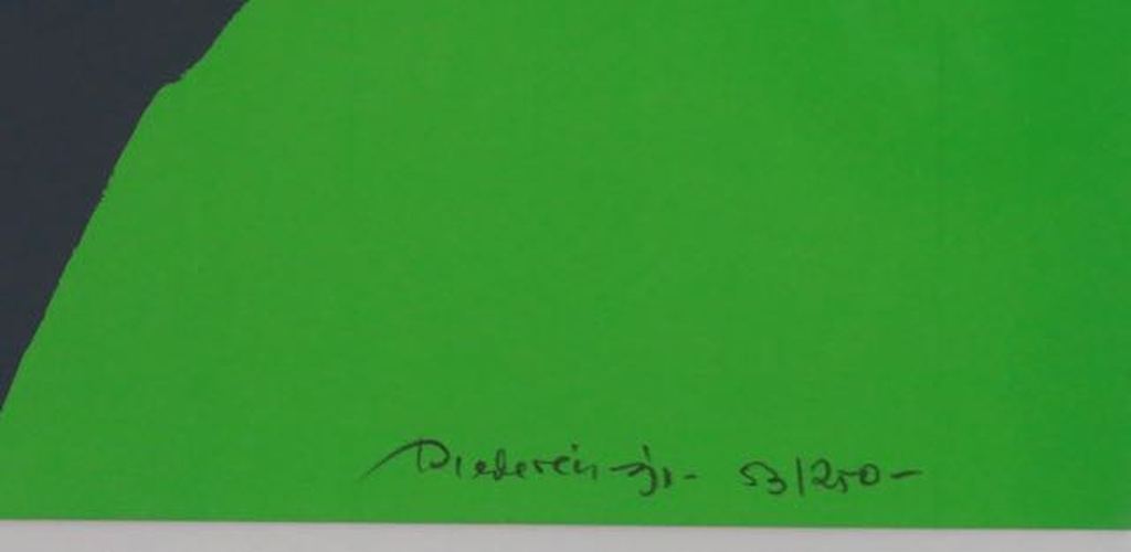 Jef Diederen: Zeefdruk, Mens en milieu - Ingelijst kopen? Bied vanaf 50!