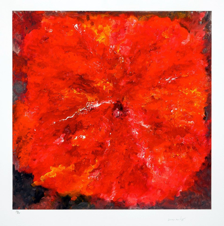 Armando, -Die Blume- Giclée op katoenpapier. 2015, Gesigneerd. Oplage 25. GROOT! verkocht voor € 185!