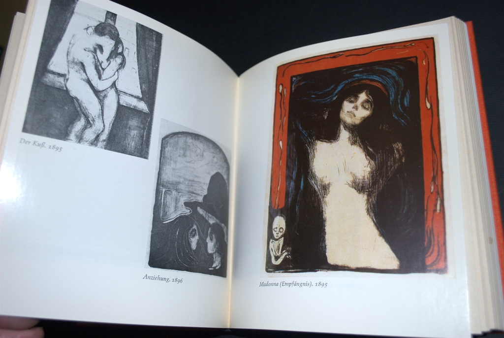 EDVARD MUNCH--MONOGRAFIE--260 PAG!|>>LAATSTE VEILING !! kopen? Bied vanaf 6!