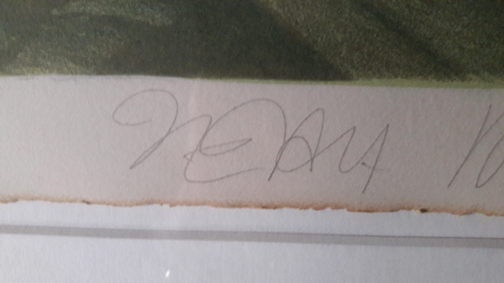 JP de Vroom ., kleur litho , Palm IiI kopen? Bied vanaf 65!