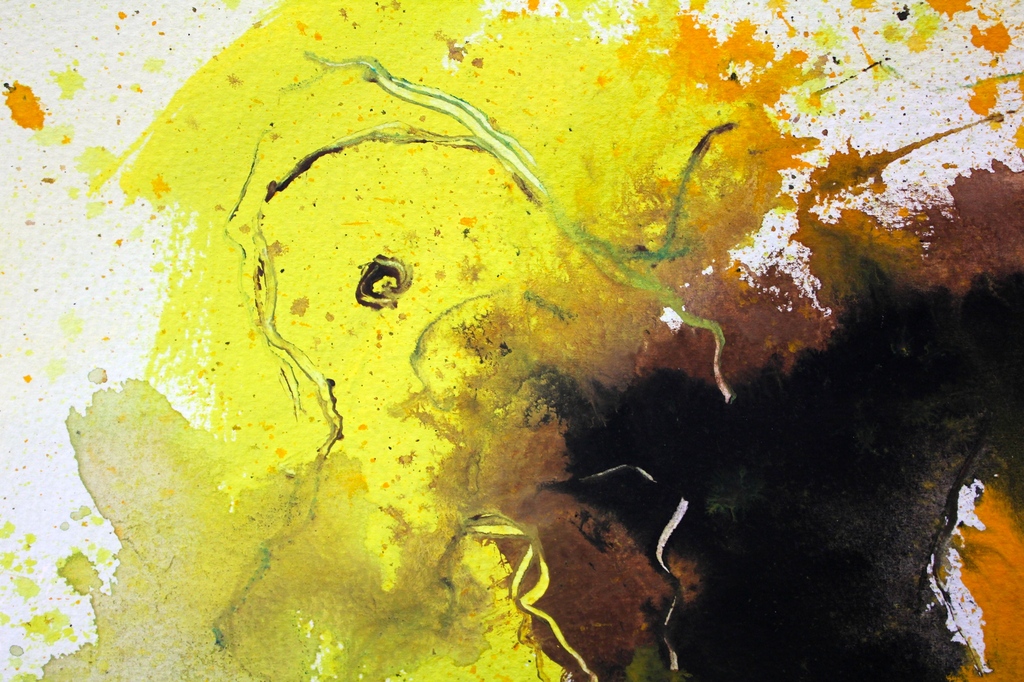 JOHANN VAN DEN NOORT,  kopen? Bied vanaf 35!